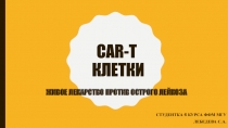 CAR-T клетки