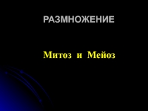 РАЗМНОЖЕНИЕ