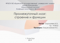 Промежуточный мозг: строение и функции