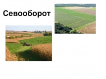 Севооборот