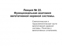 Лекция № 22. Функциональная анатомия вегетативной нервной системы