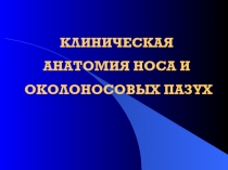 КЛИНИЧЕСКАЯ АНАТОМИЯ НОСА И ОКОЛОНОСОВЫХ ПАЗУХ