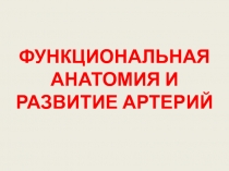 ФУНКЦИОНАЛЬНАЯ АНАТОМИЯ И РАЗВИТИЕ АРТЕРИЙ