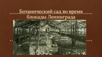 Ботанический сад во время блокады Ленинграда