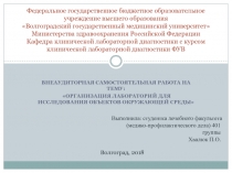 Федеральное государственное бюджетное образовательное учреждение высшего