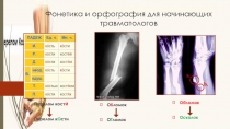 Фонетика и орфография для начинающих травматологов