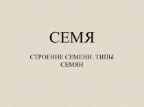 СЕМЯ