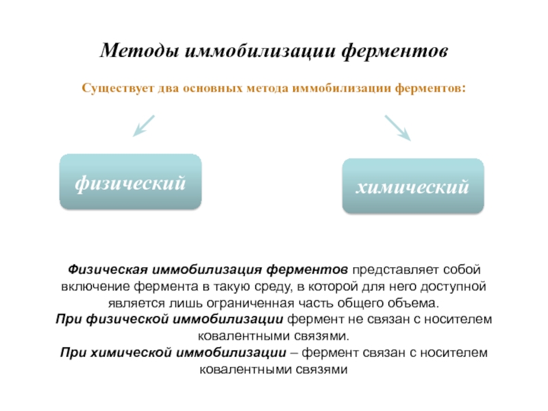 Иммобилизованные ферменты презентация