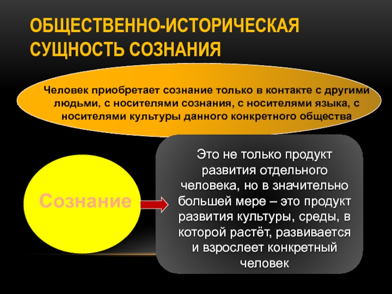 Компьютер можно считать носителем языка если человек общаясь с ним по сети