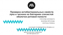 Проверка антибактериальных свойств лука и чеснока на бактериях слизистой