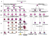 болезни системы крови