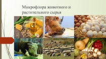 Микрофлора животного и растительного сырья