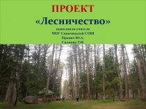 ПРОЕКТ Лесничество  в ыполнили учителя МОУ Синичинской СОШ Правич Ю.А