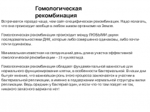 Гомологическая рекомбинация
Встречается гораздо чаще, чем сайт-специфическая