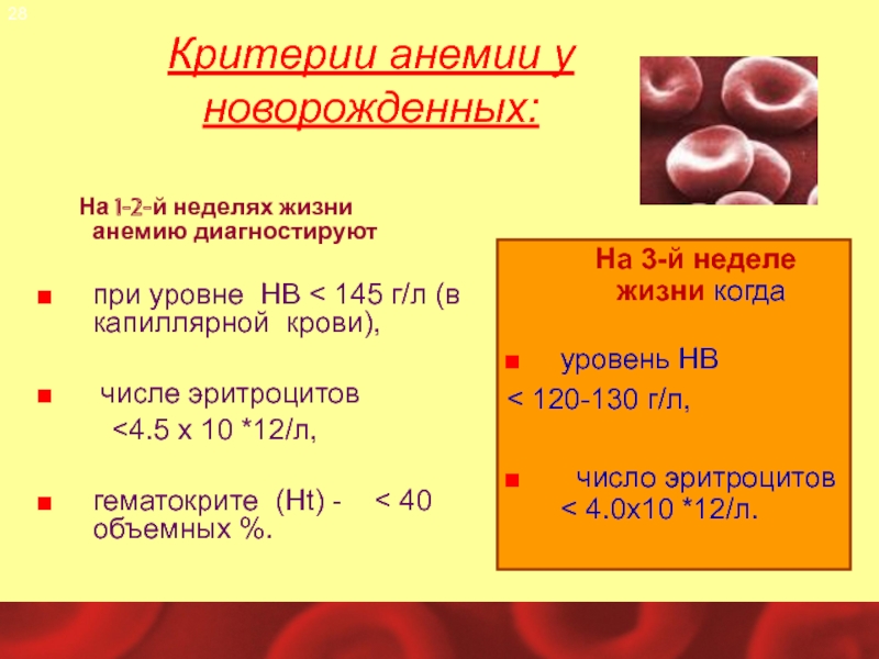 Анемия у новорожденных презентация