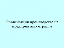 Организация производства на предприятиях отрасли