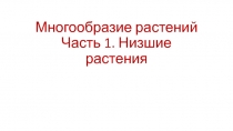 Многообразие растений Часть 1. Низшие растения