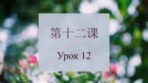 第十二课 Урок 12