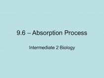 9.6 – Absorption Process