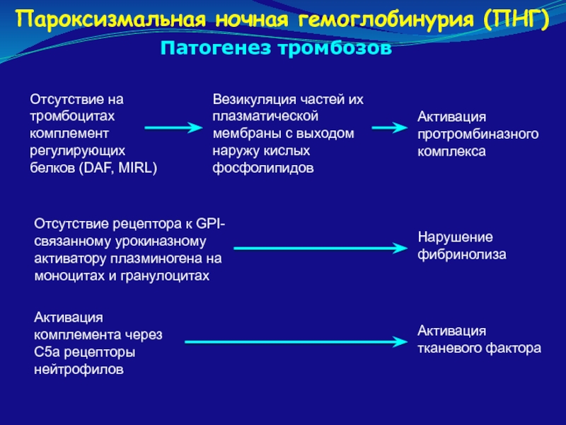 Пароксизмальная ночная гемоглобинурия презентация