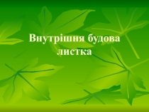 Внутрішня будова листка