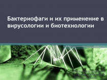 Бактериофаги и их применение в вирусологии и биотехнологии