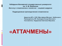 Кабардино-Балкарский государственный университет
им. Х. М. Бербекова
Институт