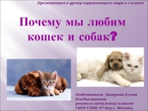 Почему мы любим кошек и собак?