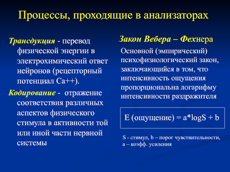 Физиология сенсорных систем презентация