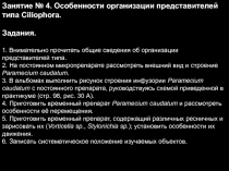 Занятие № 4. Особенности организации представителей
типа