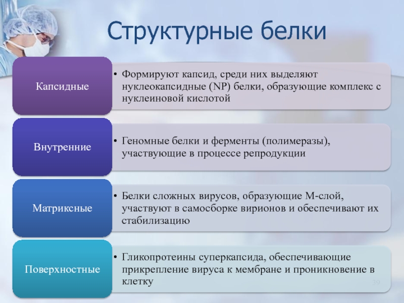 Структурные белки. Структурные белки белки. Структурные вирусные белки. Структурированный белок это.