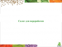 Салат для переработки