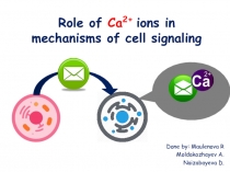 Role of Ca 2+ ions in mechanisms of cell signaling