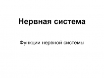 Нервная система