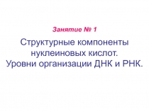 Структурные компоненты нуклеиновых кислот. Уровни организации ДНК и РНК