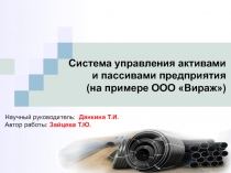 Система управления активами
и пассивами предприятия
(на примере ООО