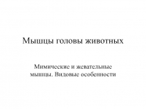 Мышцы головы животных