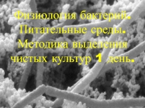 Физиология бактерий. Питательные среды.
Методика выделения чистых культур 1