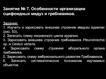 Занятие № 7. Особенности организации
сцифоидных медуз и