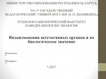 МИНИСТЕРСТВО ОБРАЗОВАНИЯ РЕСПУБЛИКИ БЕЛАРУСЬ
УО *