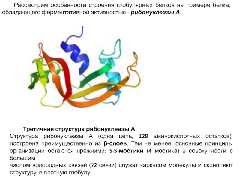 Уровни структурной организации белков. Дыхательные белки примеры. Солевые связи в глобулярных белках. 4 организации белка