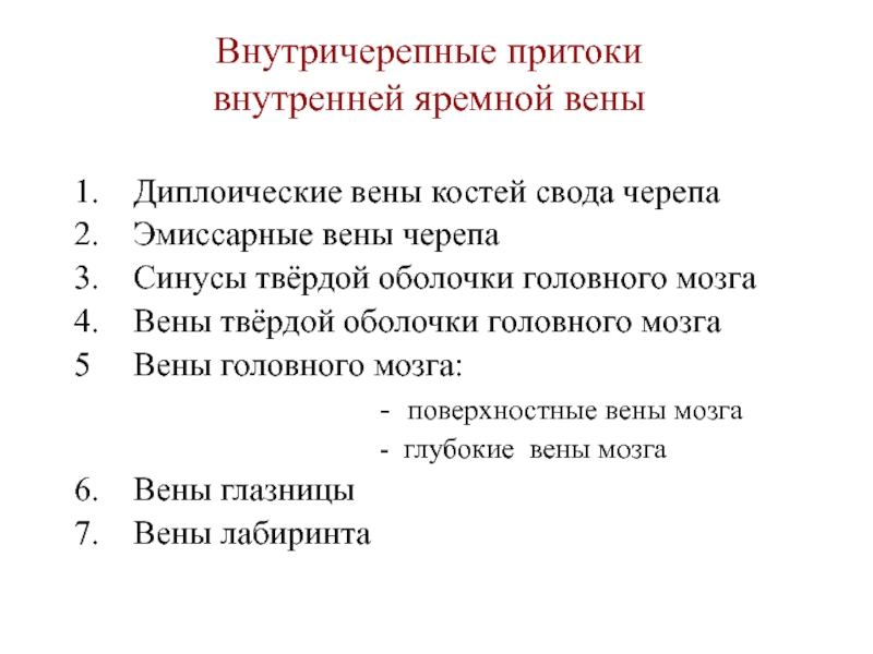 Притоки вены. Внутренняя яремная Вена формирование внутри- и внечерепные притоки. Притоки внутренней яремной вены. Вены внутричерепных притоков. Внутричерепные притоки яремной вены.