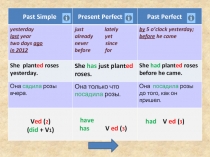 Past Simple
Present Perfect
Past Perfect
yesterday
last year
two days ago
in