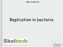Replication in bacteria