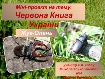учениці 7-А класу
Миколаївської гімназії №4
Вагіної Катерини
Міні-проект на