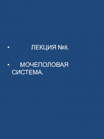 ЛЕКЦИЯ №8.
МОЧЕПОЛОВАЯ СИСТЕМА