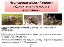 Исследовательский проект Удивительные носы у животных