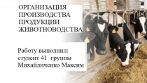 Организация продукции животноводства
