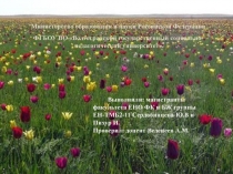 Министерство образования и науки Российской Федерации
ФГБОУ ВО Волгоградский