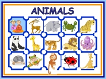ANIMALS